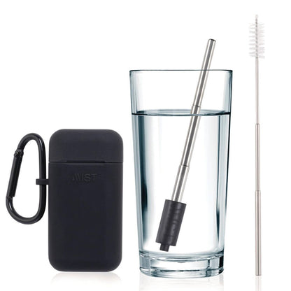 Reusable Stainless Steel Filtering Straw Collapsible With Carry Case and Brush