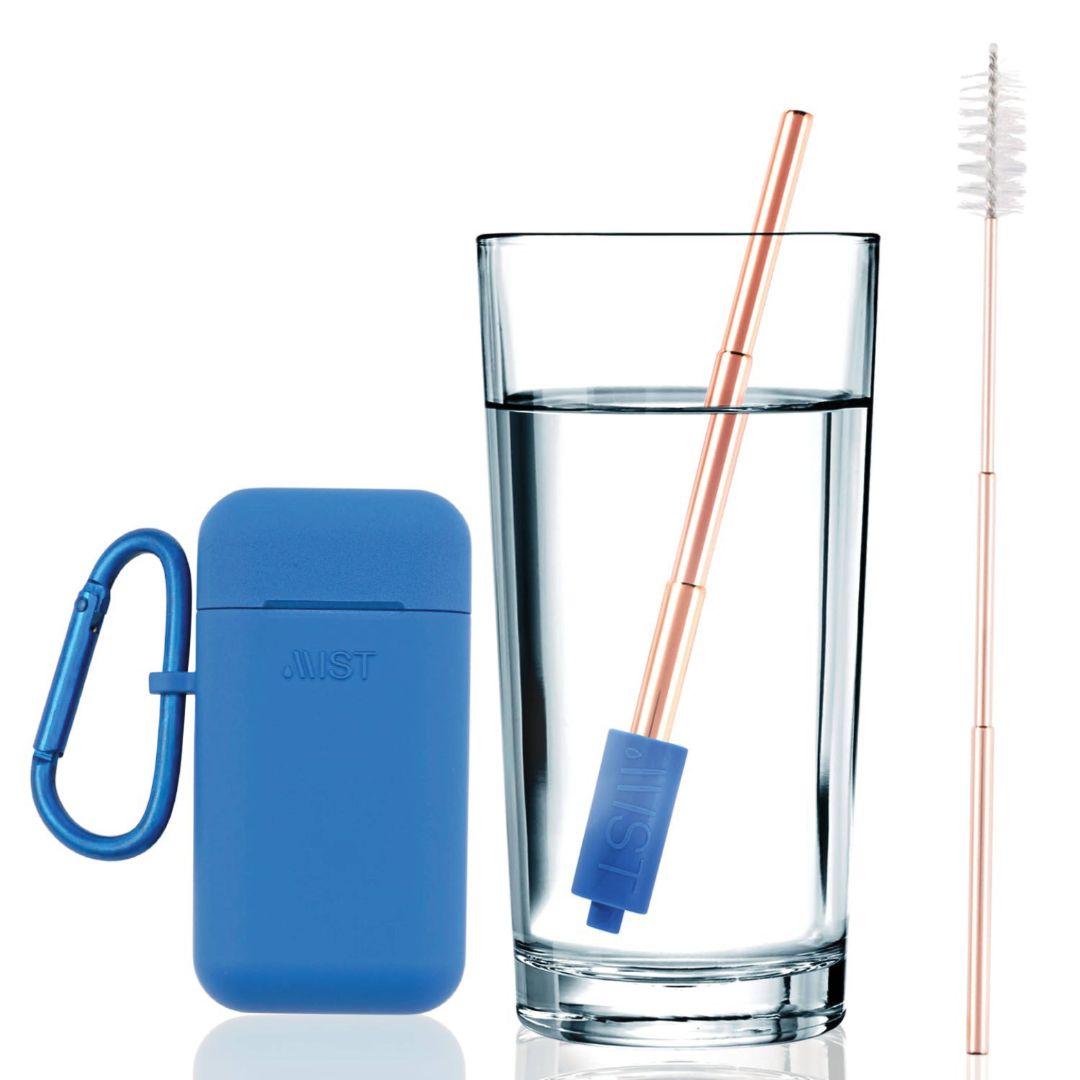 Reusable Stainless Steel Filtering Straw Collapsible With Carry Case and Brush